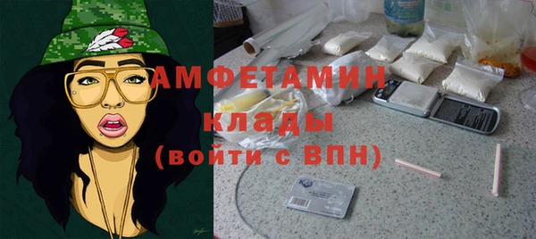 дмт Пересвет