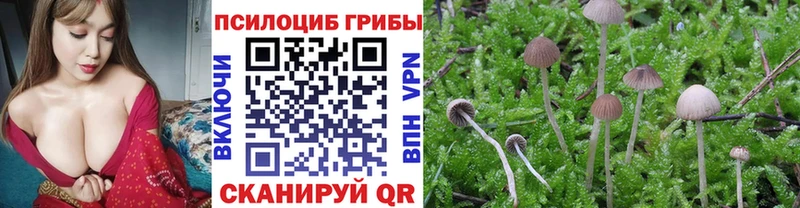 Галлюциногенные грибы Magic Shrooms  наркошоп  Томск 
