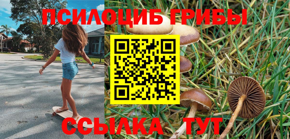 Галлюциногенные грибы Cubensis Томск